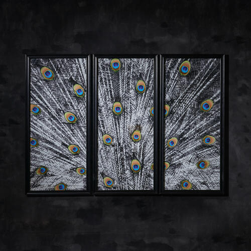 PEACOCK WALL ART