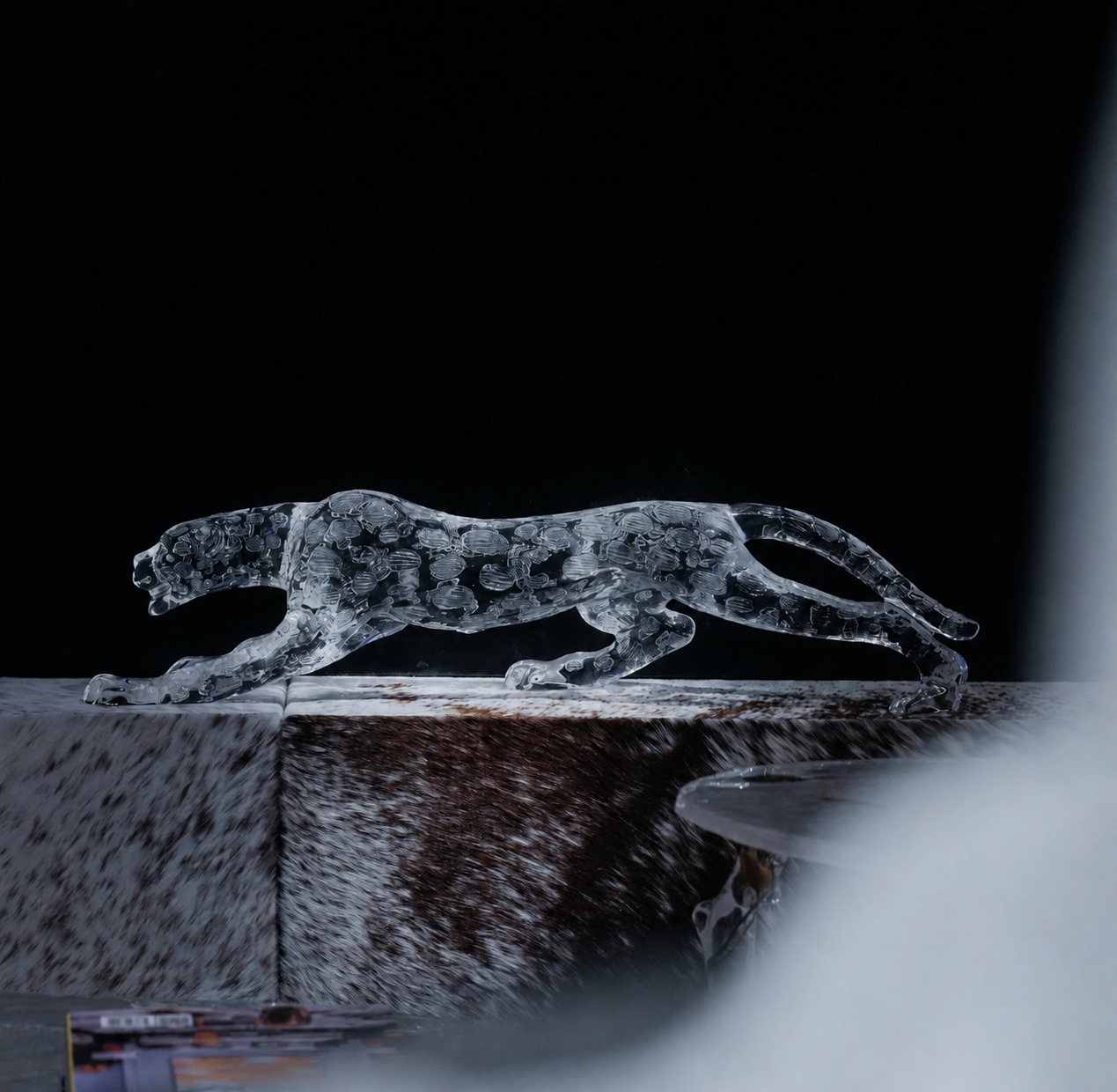 LEOPARD IN ICE