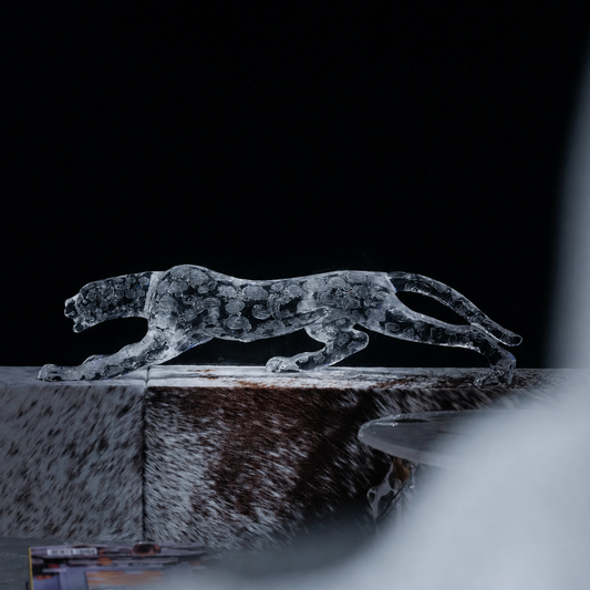 LEOPARD IN ICE